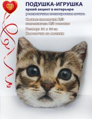 подушка рельефная с фотопечатью Британский котенок